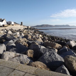 lyme-regis